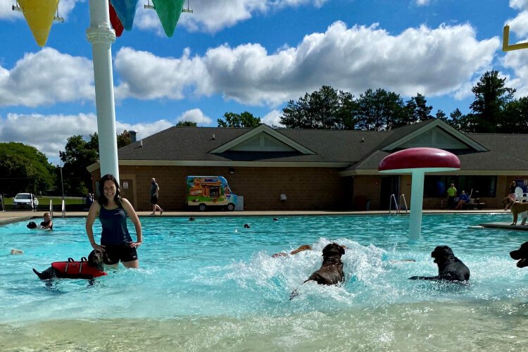 Pups enjoy Plymouth Pool