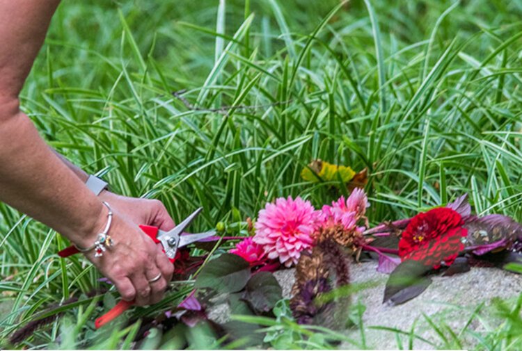 Make a Mandala at Dow Gardens