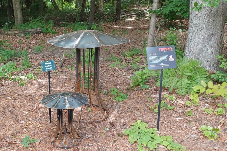 Toad Stool by Jordan Walmsley