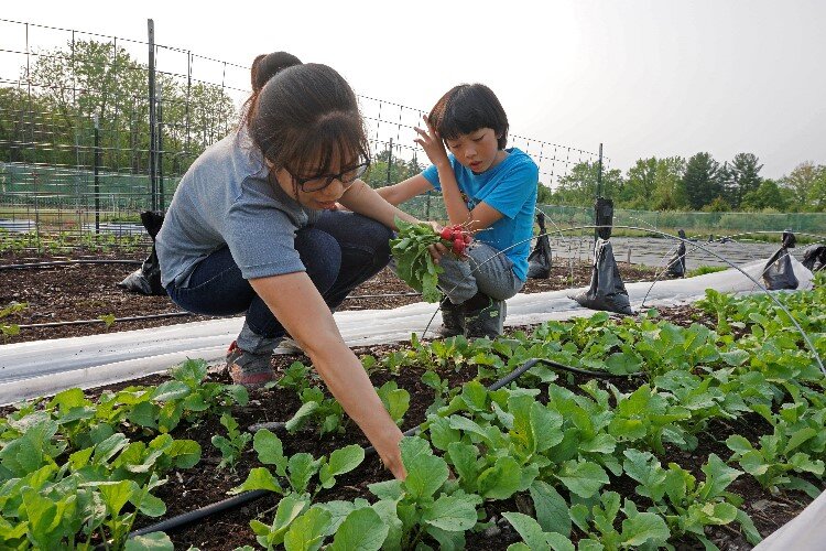 Trang Betts is neighbors with Beth De Vries, founder of Phoenix Community Farm. Betts and her son regularly volunteer at the farm.