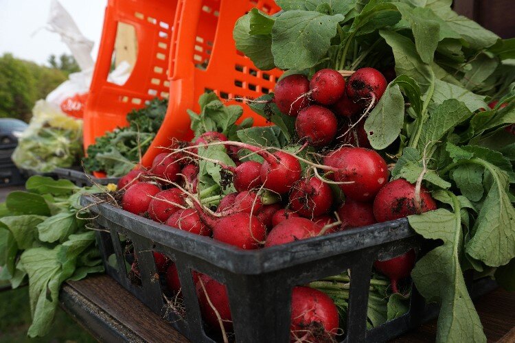 Phoenix Community Farm has two “Pay what you can” produce stands: One at 919 Smith Rd. and one at 6220 Jefferson Ave.