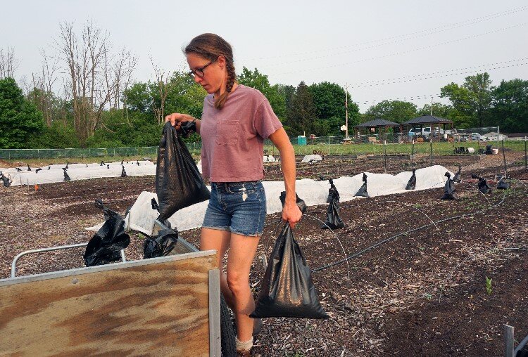 Anna Swartz works part-time at Phoenix.