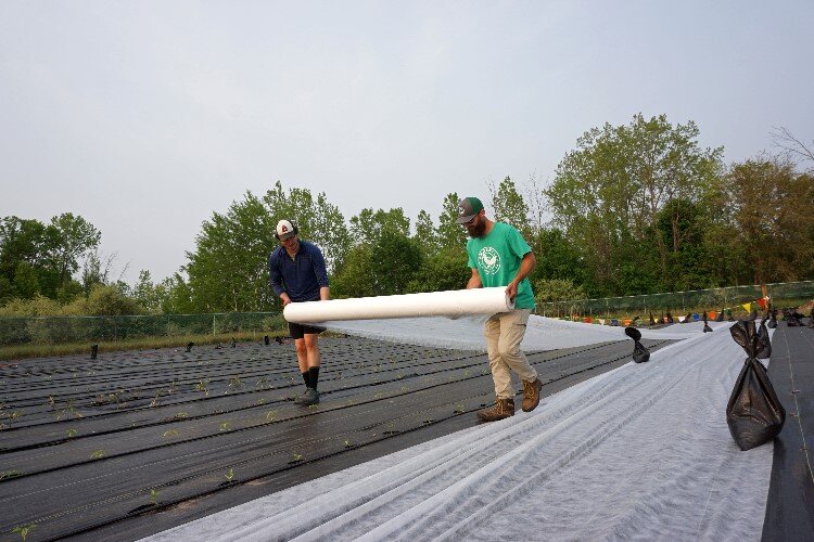 This summer, volunteer hours are Mondays and Thursdays from 9-11:00 a.m. and Tuesdays from 6-8:00 p.m.