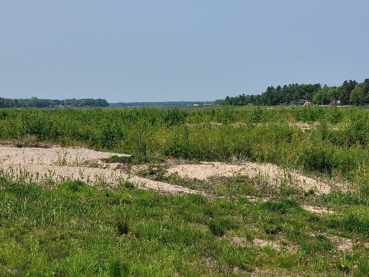 View of lakebed-Wixom Lake, May 2023