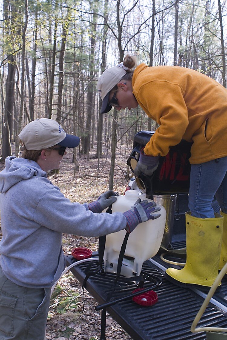 Mosquito control staff at work in the spring.