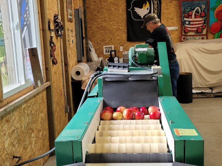 The apples are sent through the washer/scrubber.