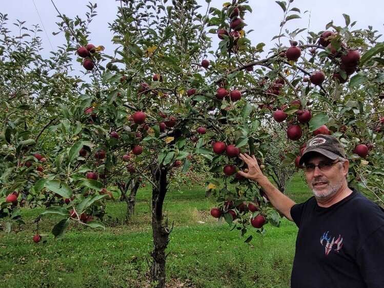 Steve Heilig is the manager of Moore Orchards and has worked there for 25 years.