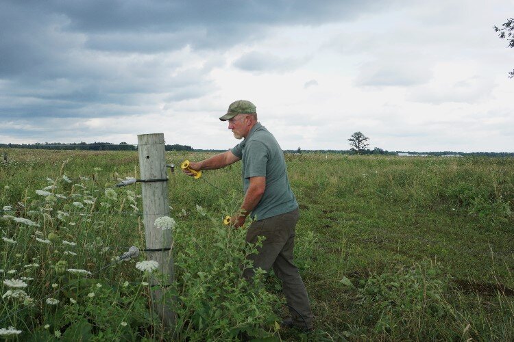 After the cows graze down a section of pasture, Jon moves the wire fence so the cows enjoy a fresh patch of grass. This practice is called rotational grazing.