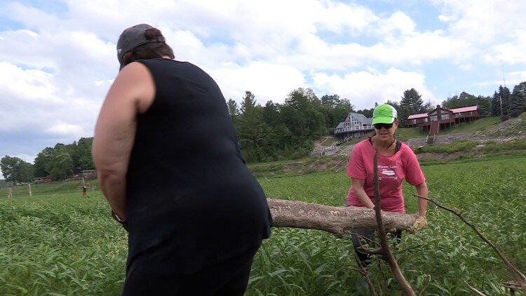 Volunteers cleaning up the lake beds.