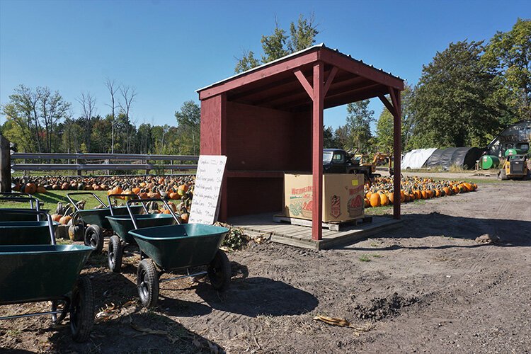 The pumpkin area at the Patch is free to enter any time.