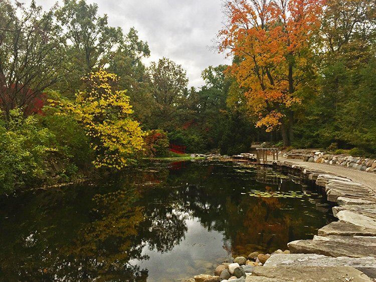 Dow Gardens is holding a Fall Walk on Oct. 15-16, but you can visit anytime to see the fall colors.