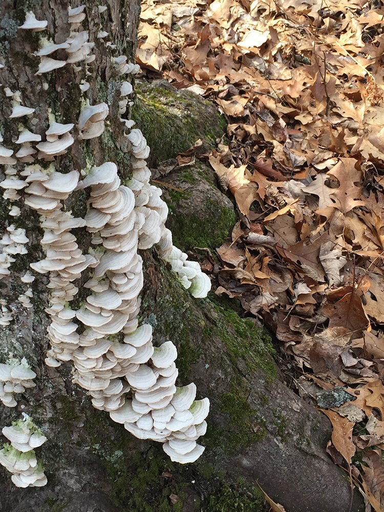 Decorating for Halloween is half the fun.