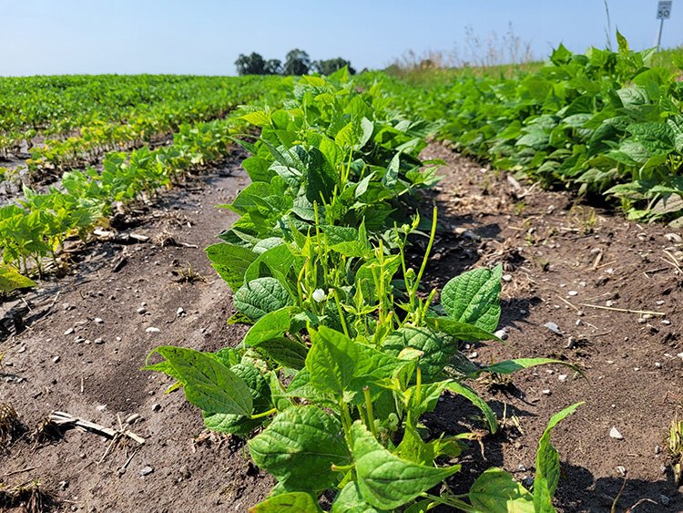 Agriculture is a key ingredient in our economy in Michigan. It accounts for more than 111 billion dollars in the state economy each year.