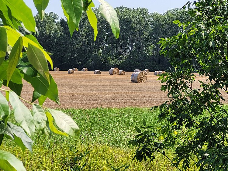 Henne's concerns for farming going forward are government programs and the people who determine them, DNR and the USDA, infrastructure, and broadband access.