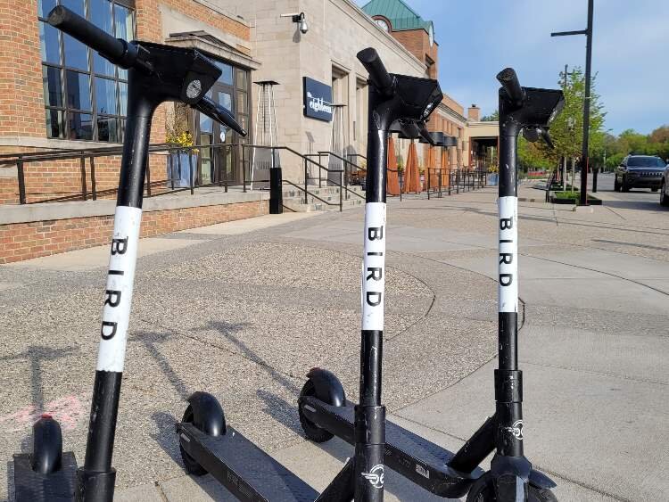 A flock of Bird Scooters is ready to take flight in downtown Midland.