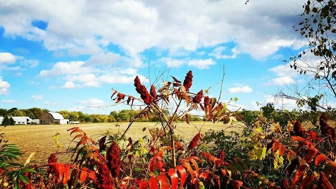 Users of the Railtrail system pass by working farms.