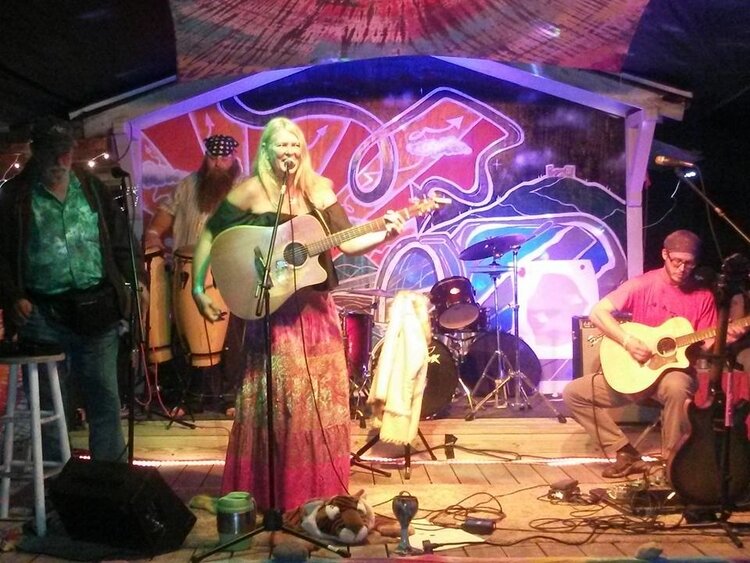 Megoran performing live. (PC: Kimberly Megoran)