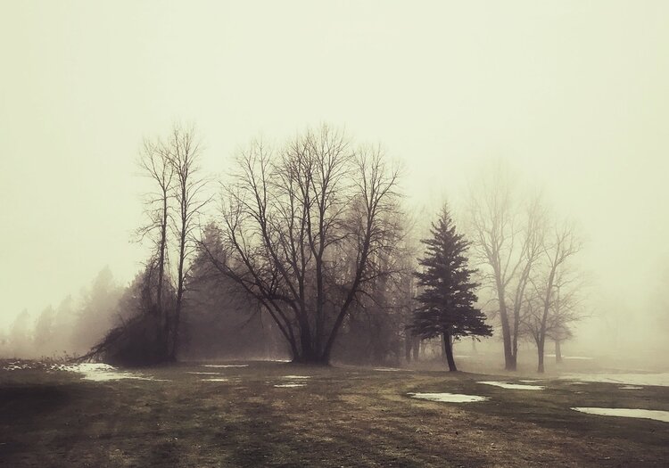 Oasis, iPhoneography by Armin Mersmann