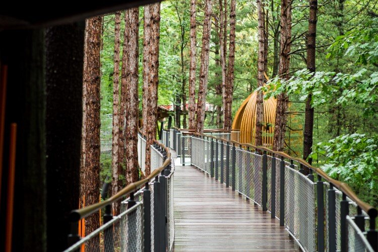 The Whiting Forest Canopy Walk opened its doors and has since welcomed hundreds of thousands of visitors.