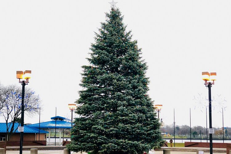 Each year, a large, lighted Christmas tree is placed in Bay City’s Wenonah Park, marking the start of the holiday season. Photo courtesy of the Bay City Downtown Management Board.