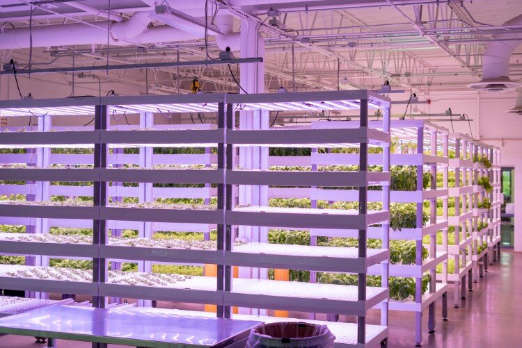 Racks of produce inside Arnold Farms.