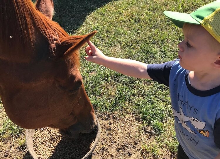 HopeWell Ranch has classes for kids, veterans, groups and more.