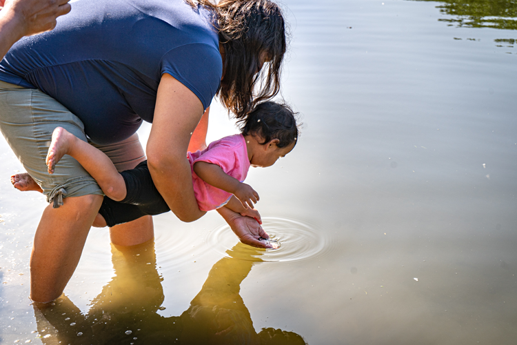 The juveniles won’t stay long in the rivers, as they will likely travel out of the watershed and into Lake Huron to mature — a process that can take anywhere to 15-20 years.
