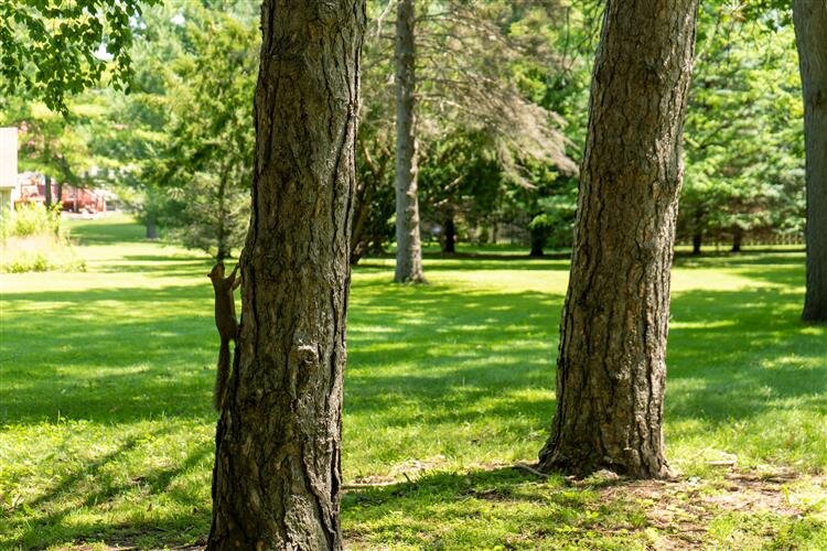 Bring your hammock, dog, kids and more to enjoy these spaces.