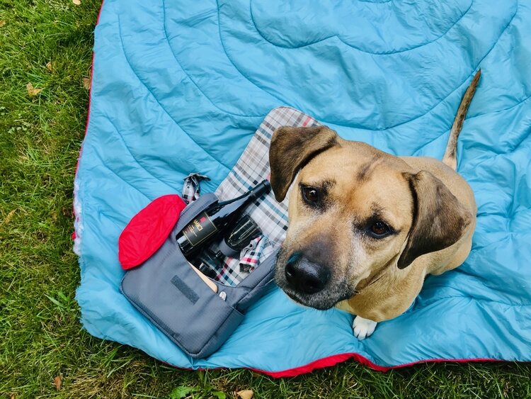 Grab a friend and go today!