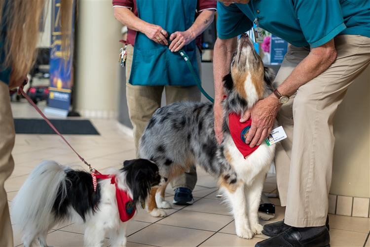 "They just kind of intuitively know when you need them."