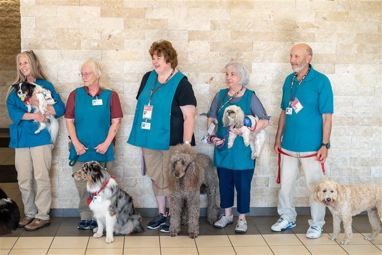 Dogs of all breeds and sizes lined up during programming.