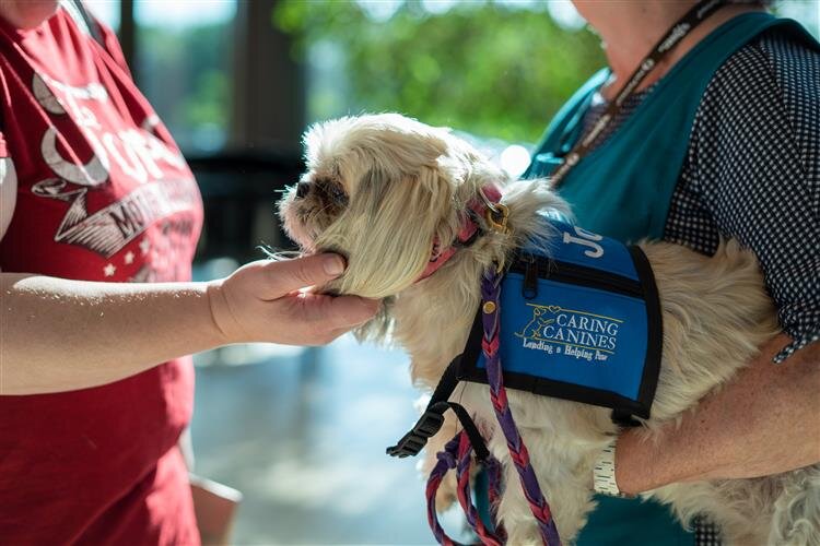 Dogs help bring smiles to both the staff and patients on their visits.