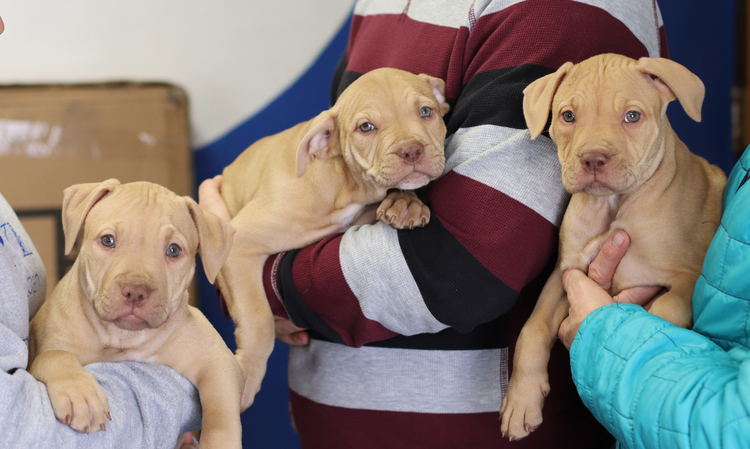 Want to snuggle with us?