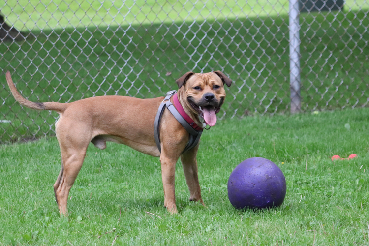 Will you play with me?