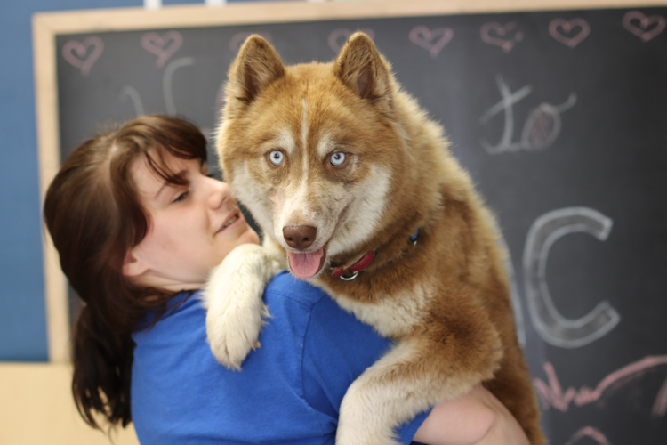 Could you be my new human?