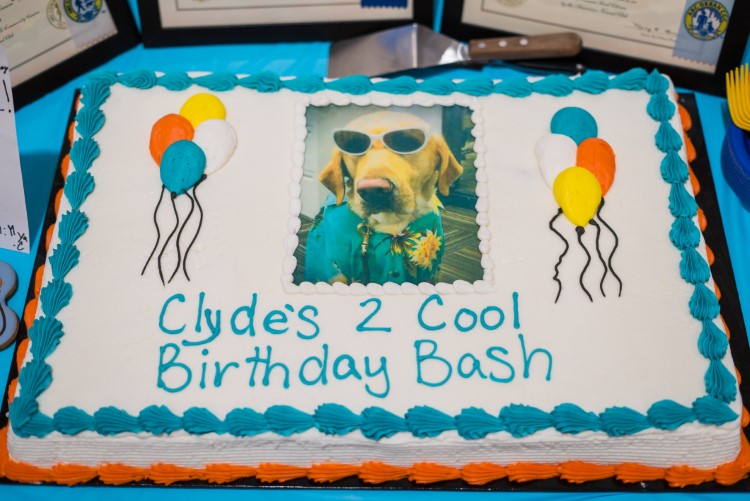 Clyde celebrated his second birthday on April 3.