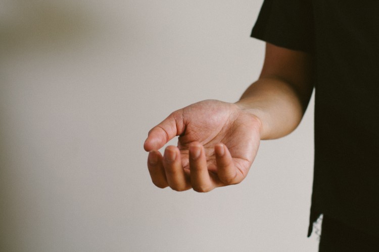 Since 1981, Midland’s annual Zonta Homewalk has been a holiday event and premier fundraiser for the Zonta Club of Midland.