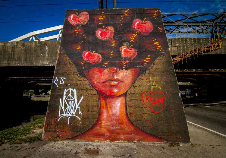 Graffiti art is legal in Brazil, and murals, like Panmela Castro’s above, are found all over urban areas throughout the country.