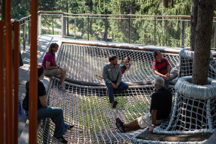 Netting suspended 35 feet off the ground amongst a group of Spruce trees is one of the elements of risk and adventure.