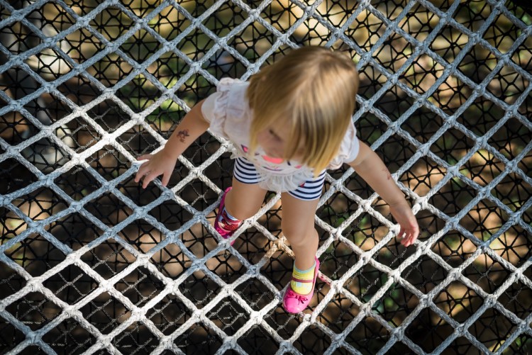 A child at play in the new Whiting Forest Canopy Walk.