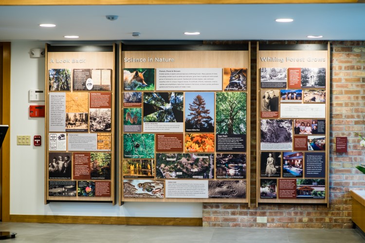 Some of the history of Whiting Forest inside the new visitor center.