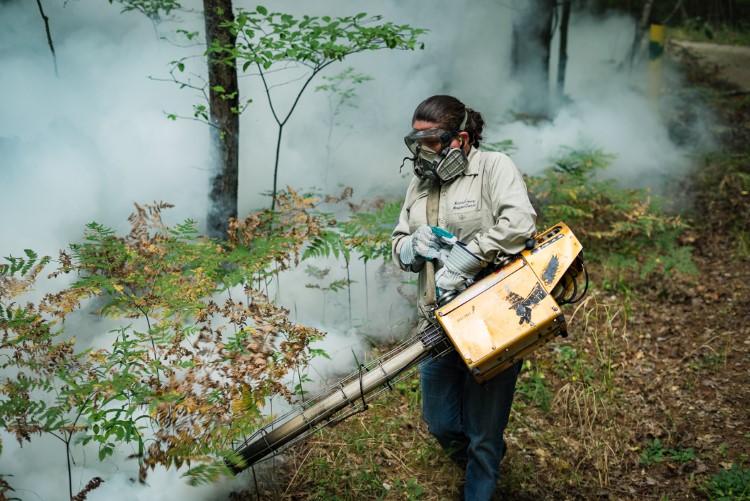 Kimberly Tozier spraying a wooded area in Midland County.