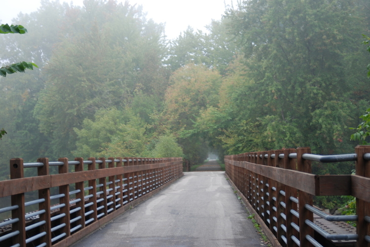 The Saginaw Valley Rail Trail in St. Charles.