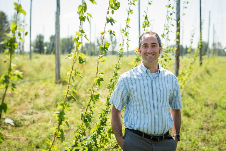 Nick Goodman, owner of Helios Hops with some of his crop.