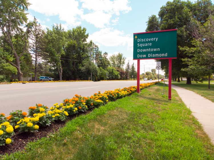 Over 1,300 flats of marigolds were planted in 2018.