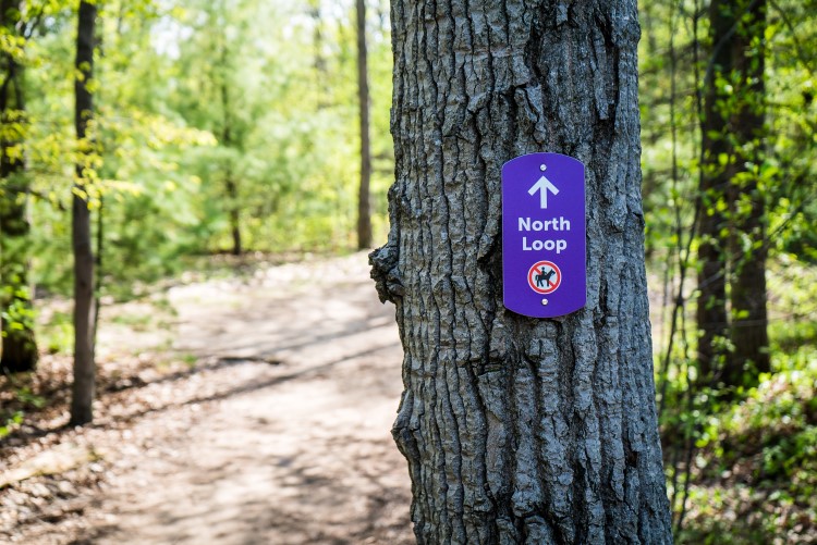 One of the many hiking trails in Midland