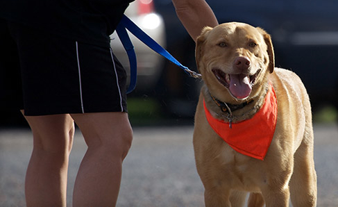 A dog and his owner after the recent GLBAS Fast & Furriest 5k