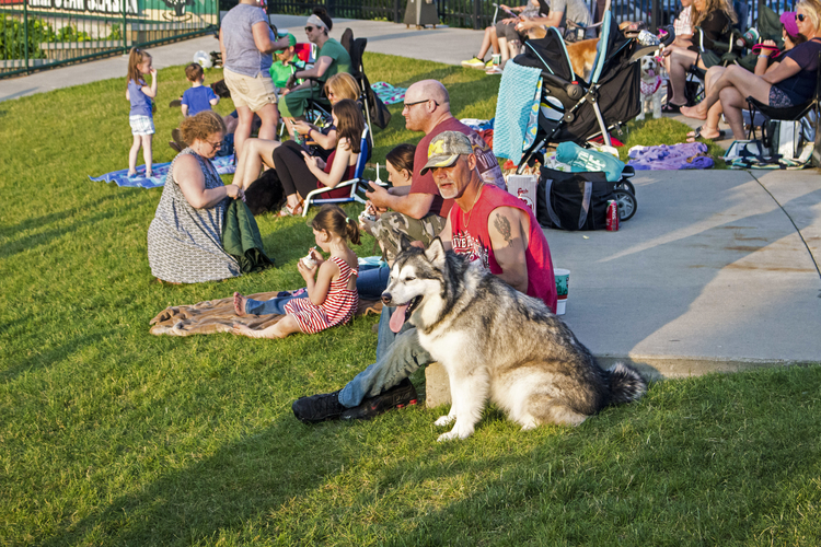 Loons fans at Bark in the Park