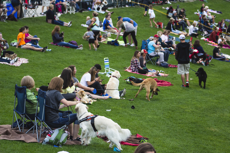 About 150 dogs partake in Bark in the Park each summer