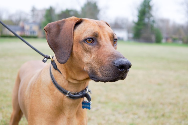 There are many local small parks you'll find around Midland as well.